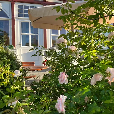 Haus Hedwig Apartment Heringsdorf  Room photo