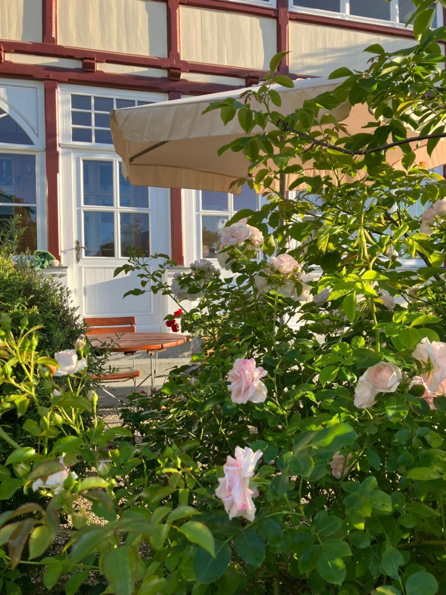 Haus Hedwig Heringsdorf (Usedom)