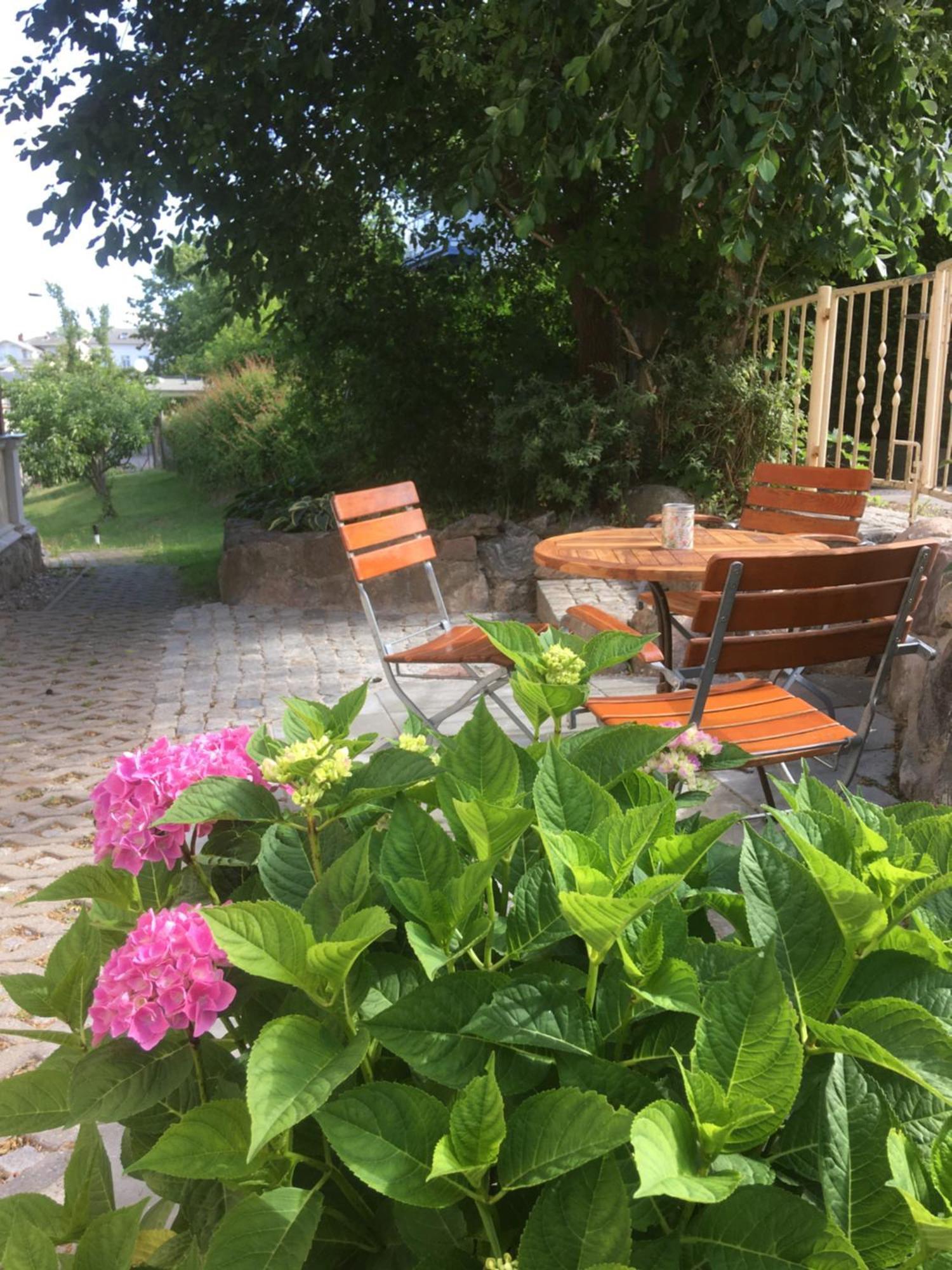 Haus Hedwig Apartment